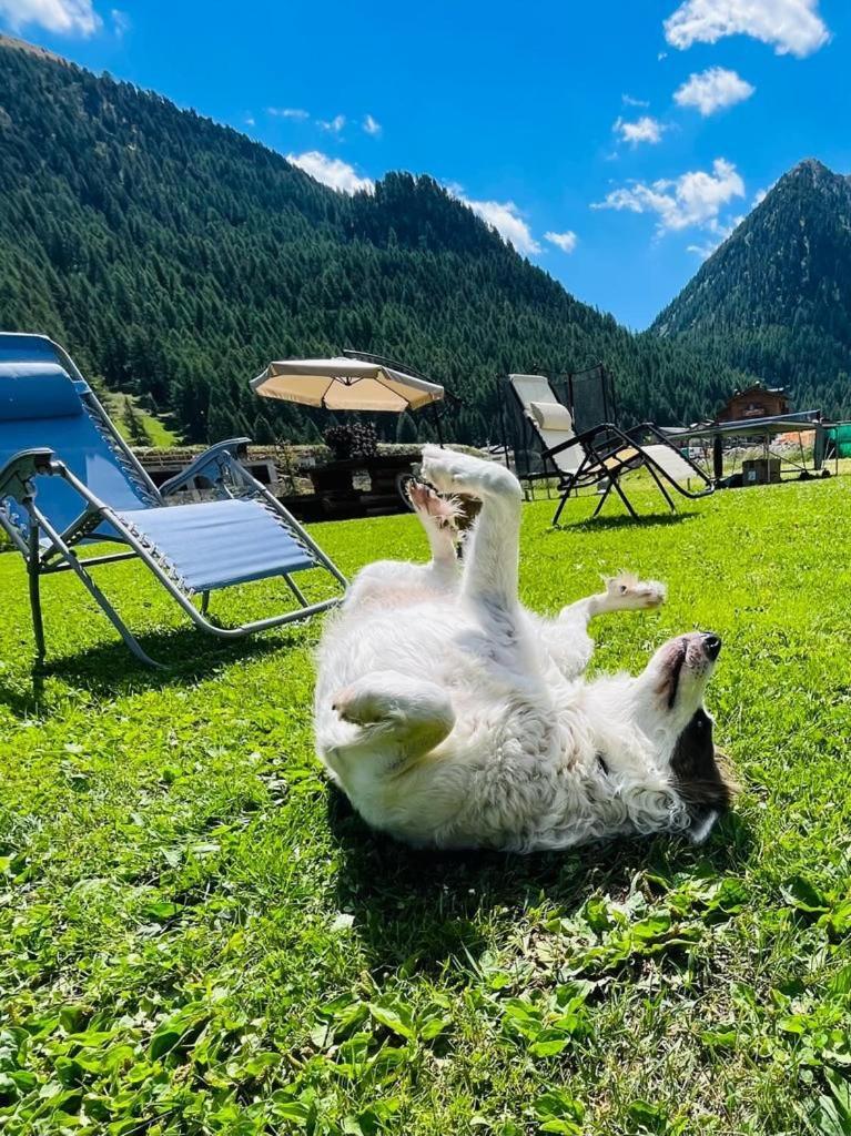 Chalet Sunshine Livigno Luaran gambar